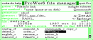 Prowess File Manager